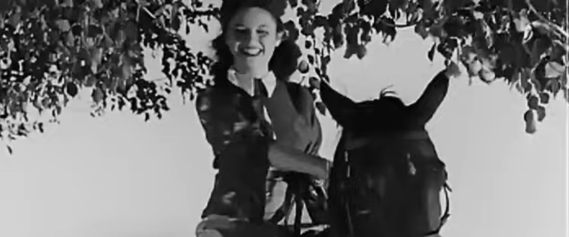 Orphans' money backdrop