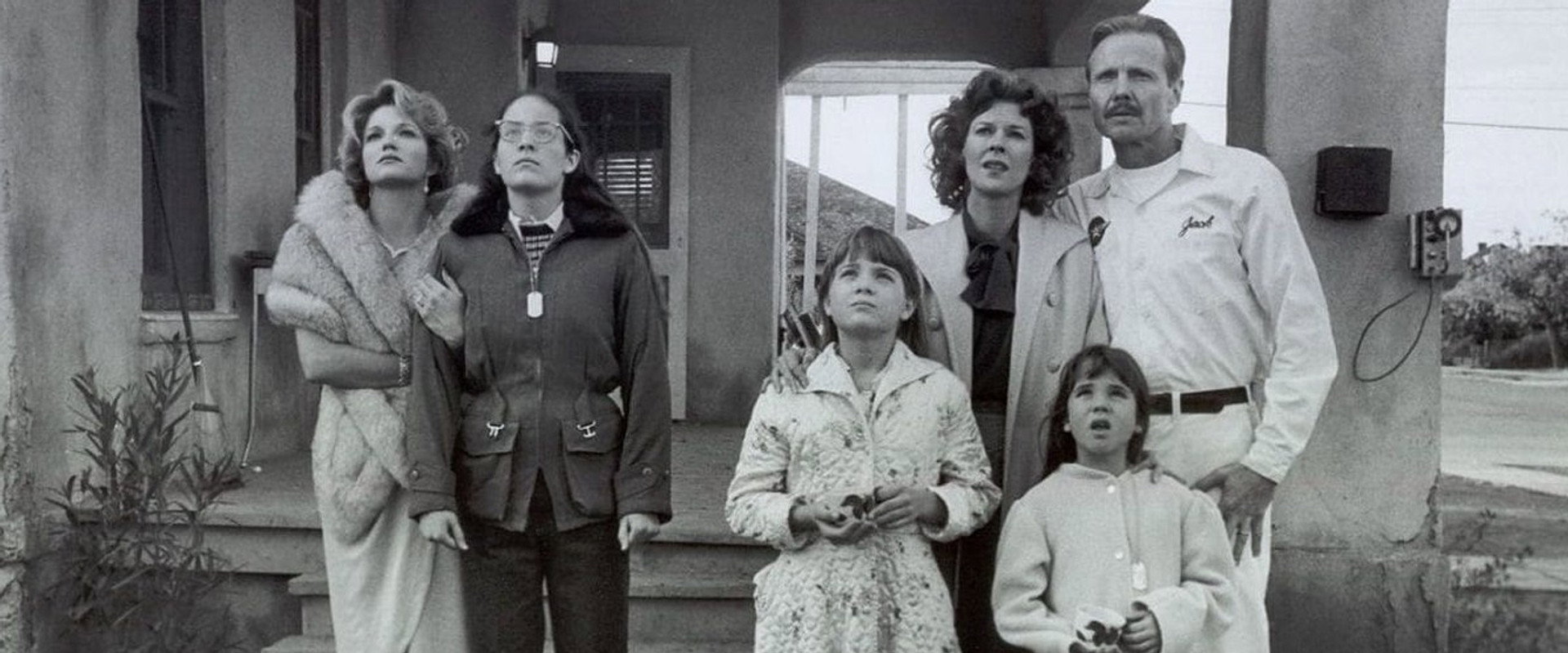 Desert Bloom backdrop