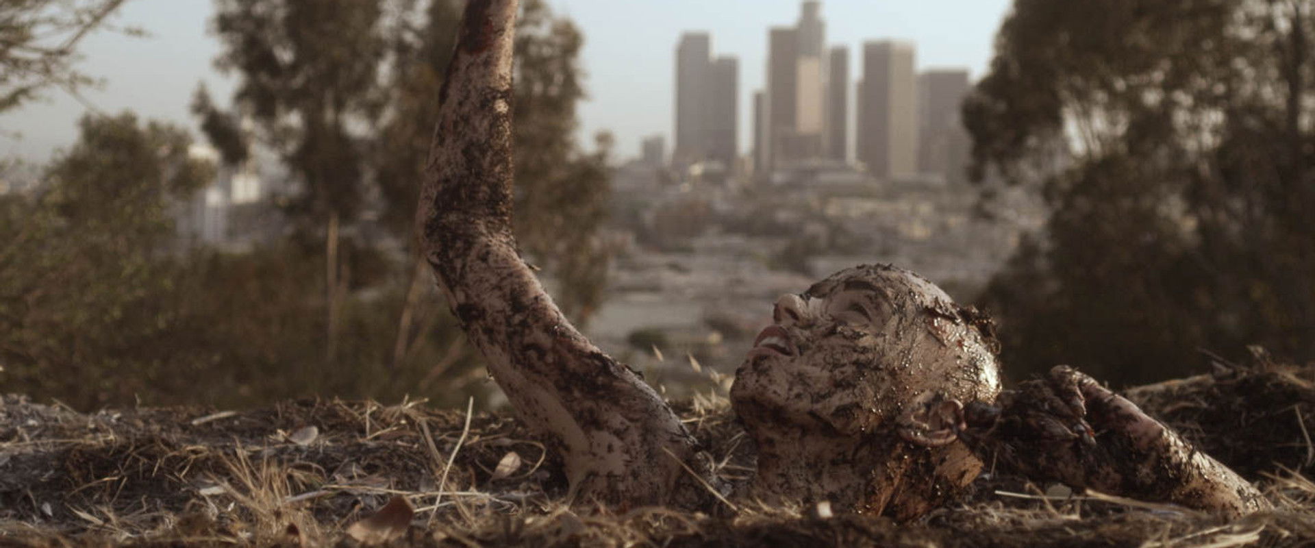 Starry Eyes backdrop