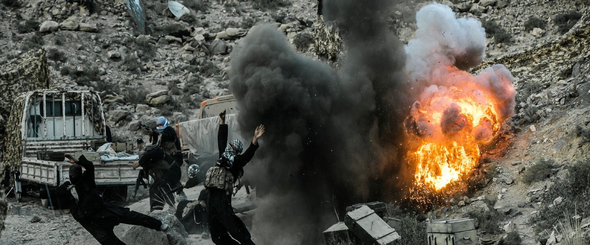 Wolves Action backdrop