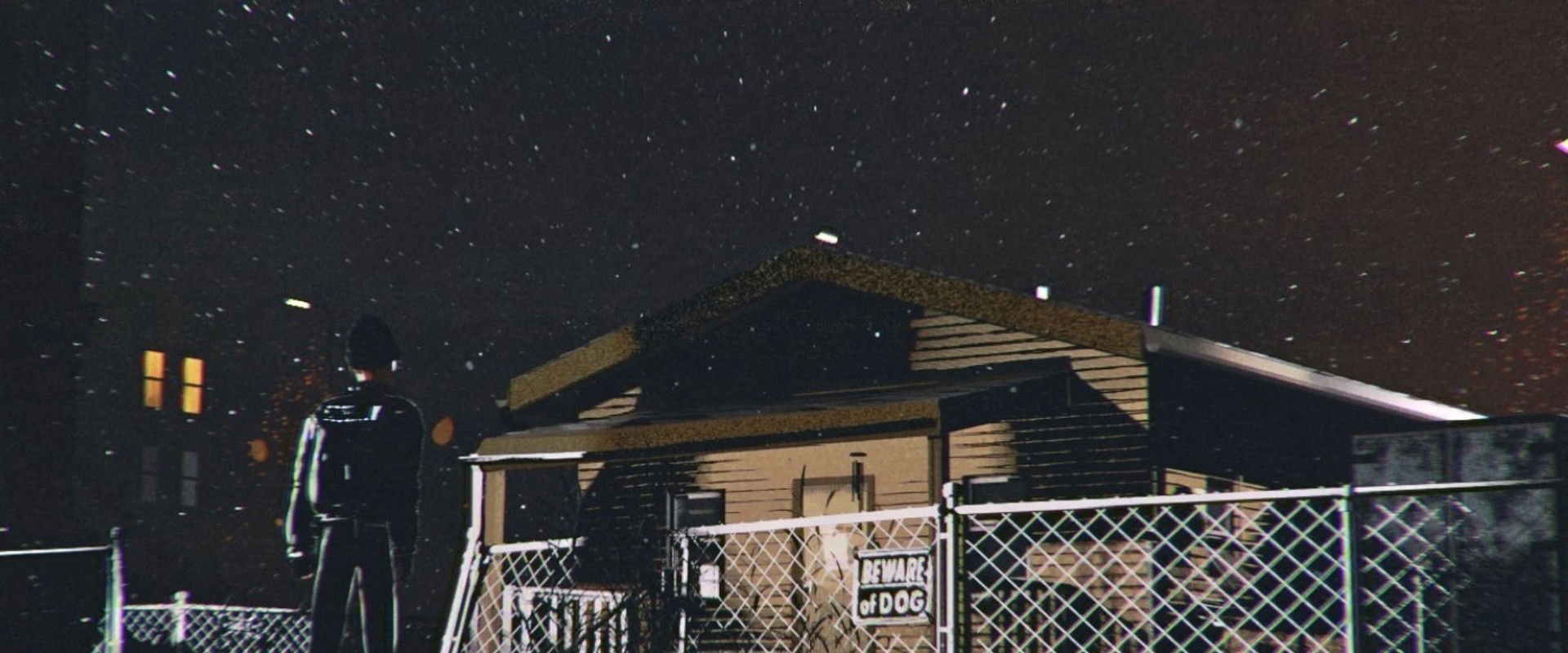 The Brown Dog backdrop