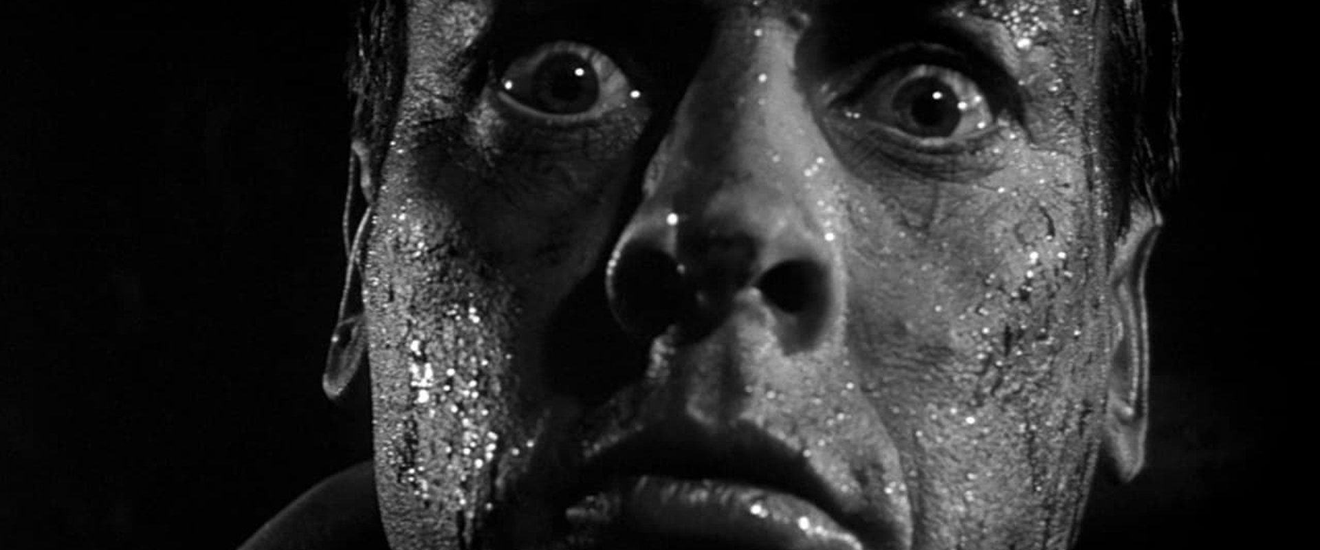 Invasion of the Body Snatchers backdrop