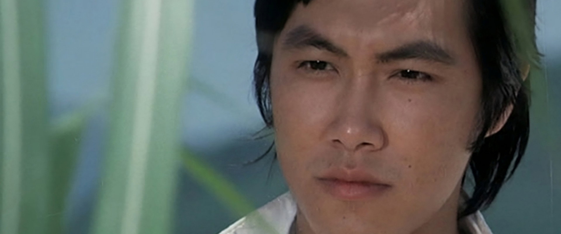 The Young Dragons backdrop