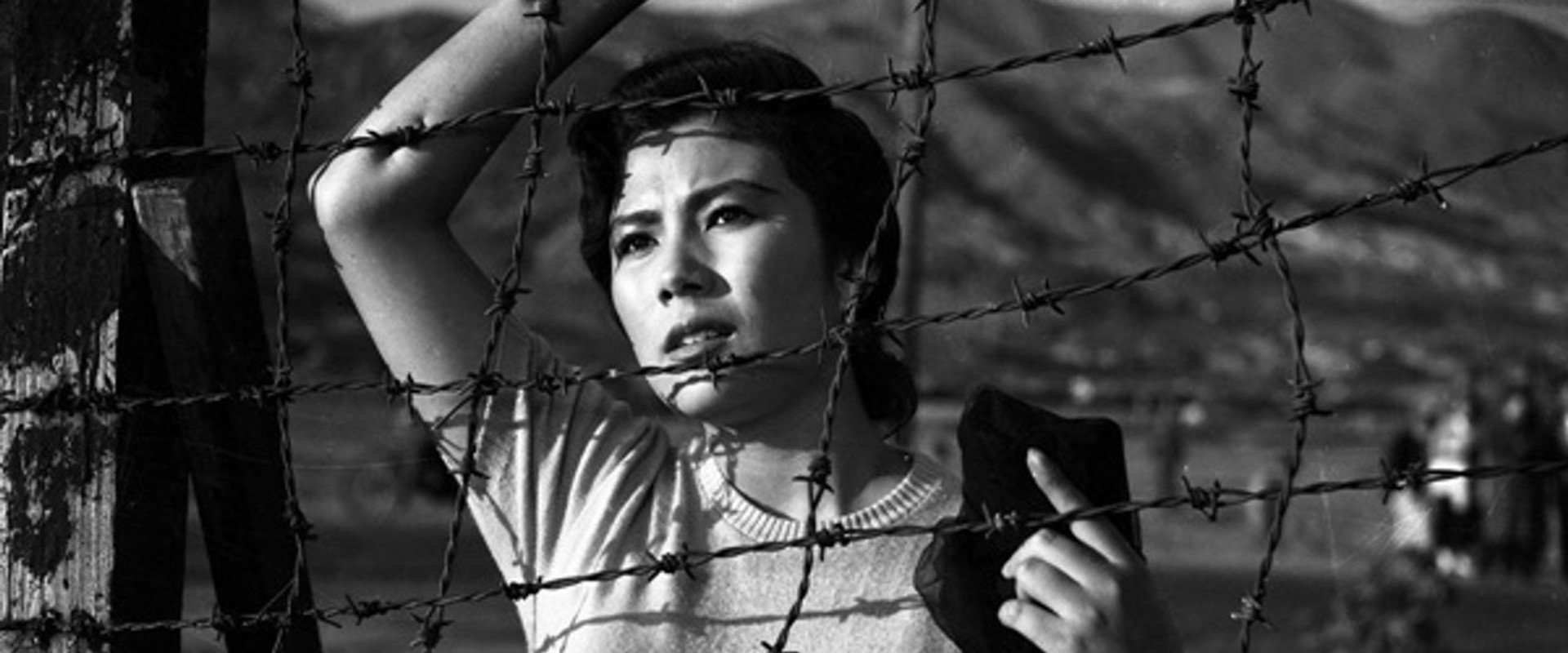 Entanglements backdrop