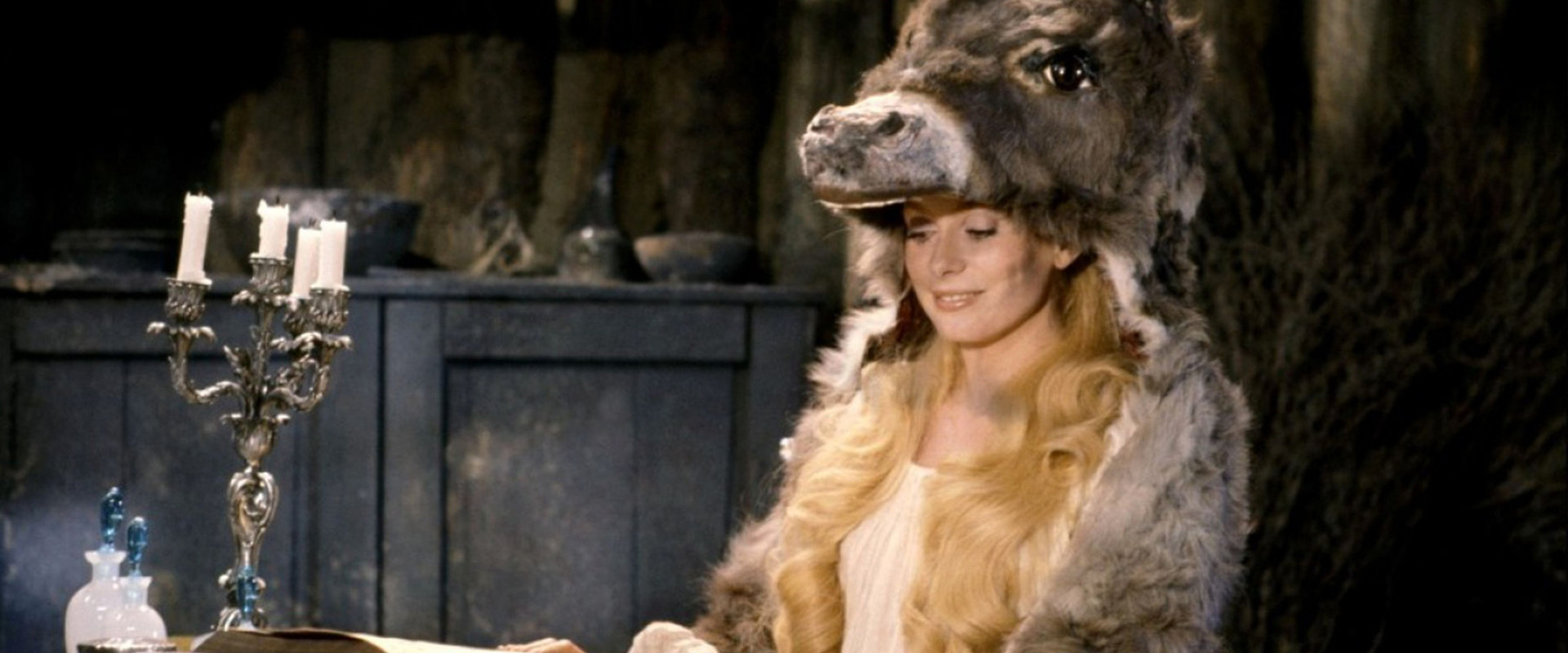 Donkey Skin backdrop