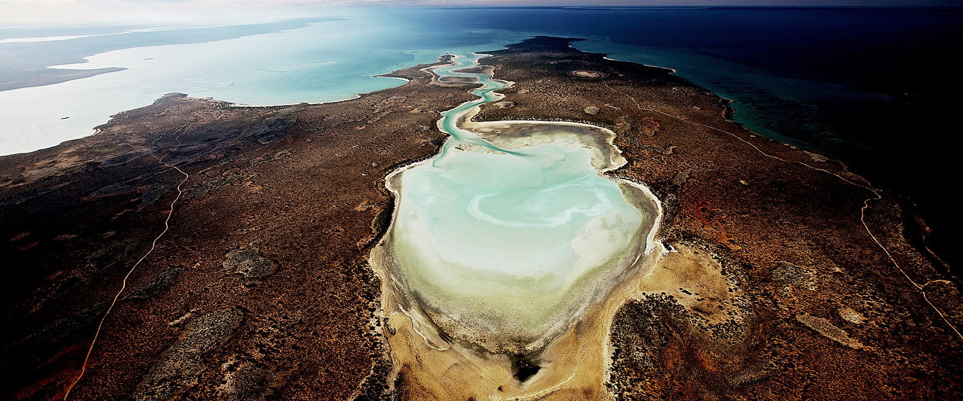 Planet Ocean backdrop