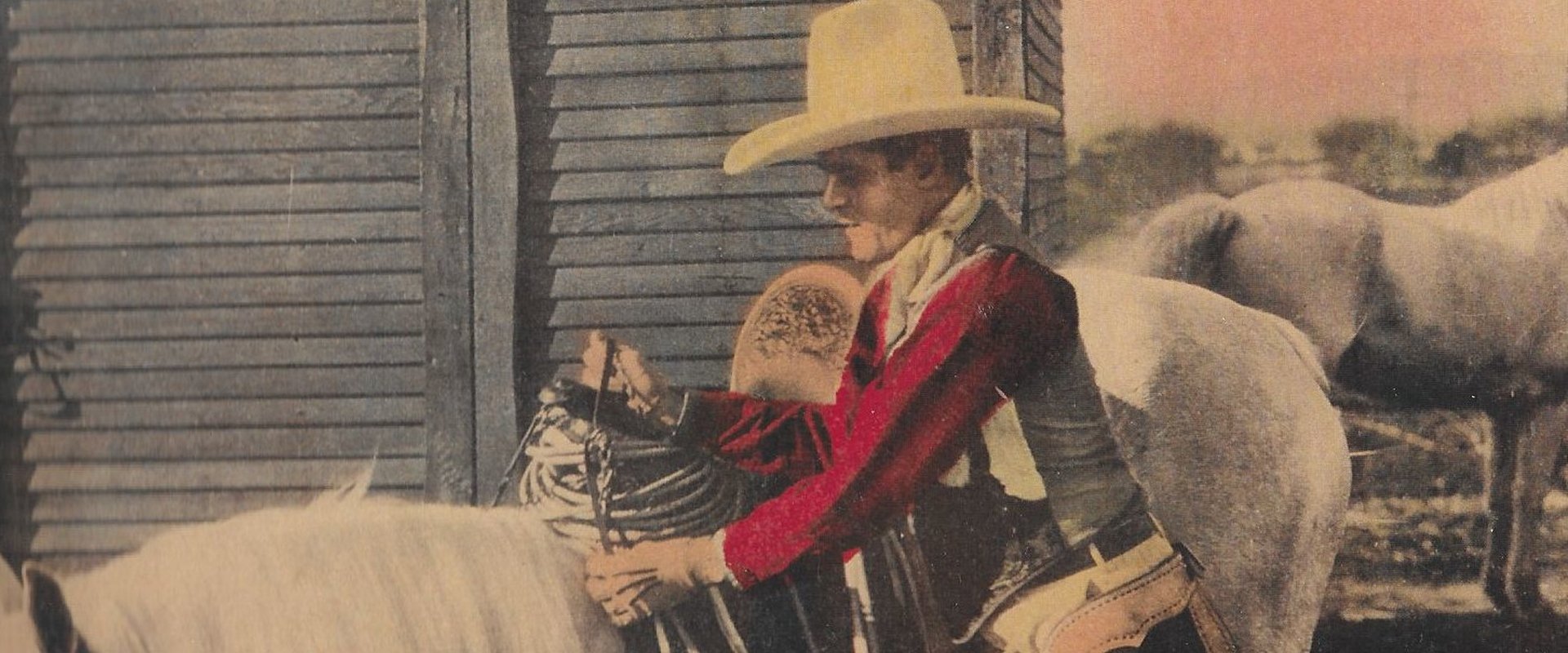 Senor Daredevil