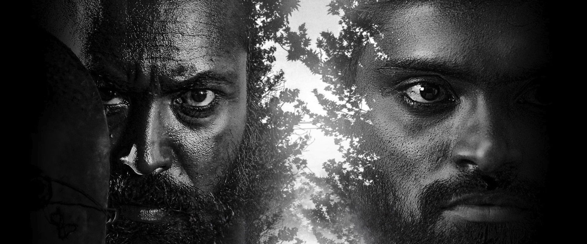 Red Sandal Wood backdrop