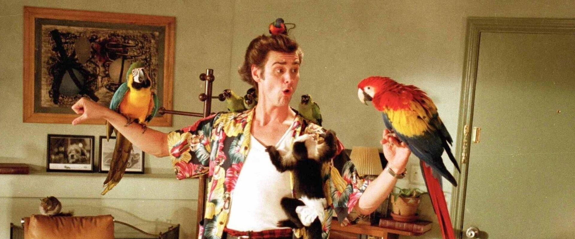 Ace Ventura: Pet Detective backdrop