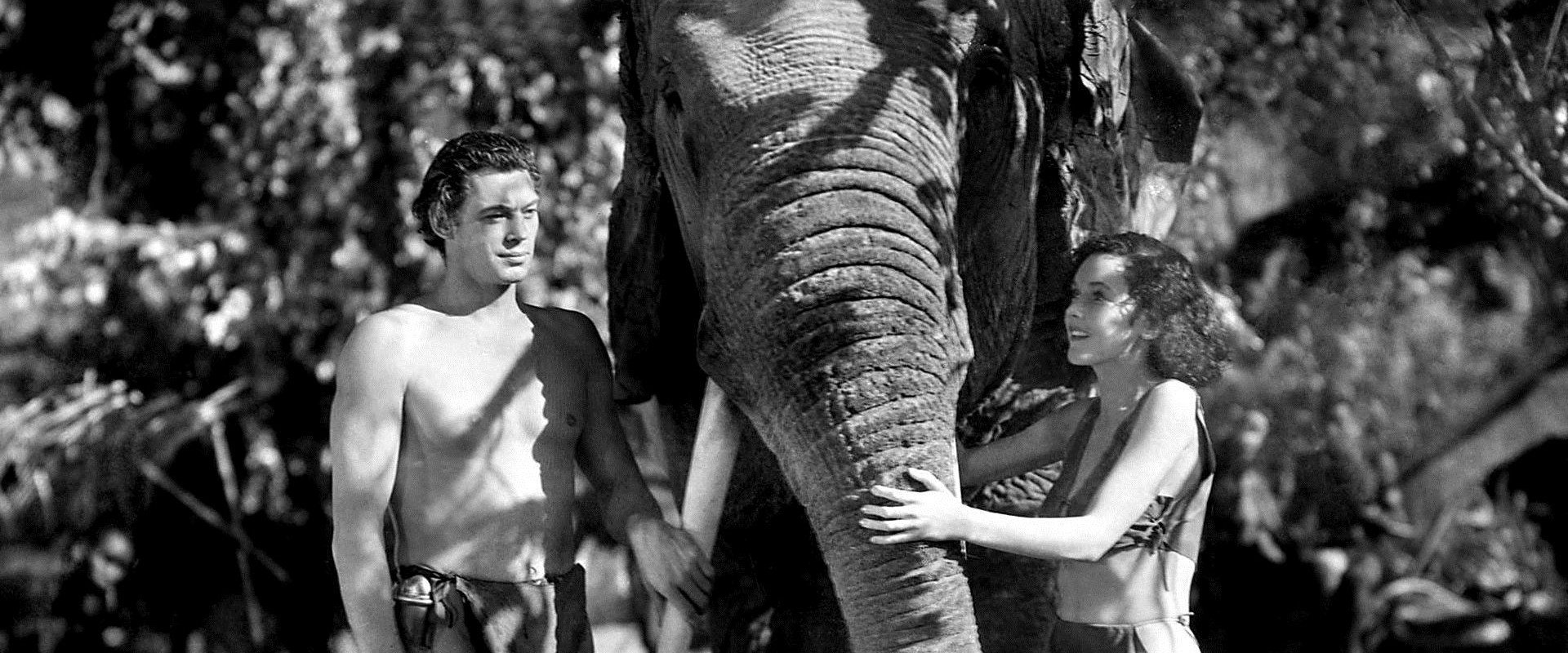 Tarzan and His Mate backdrop