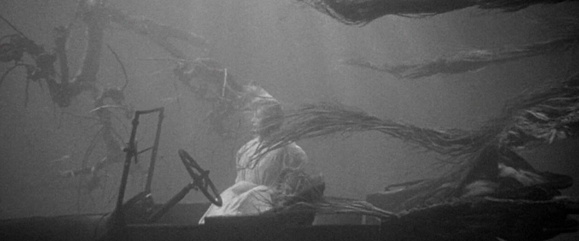 The Night of the Hunter backdrop