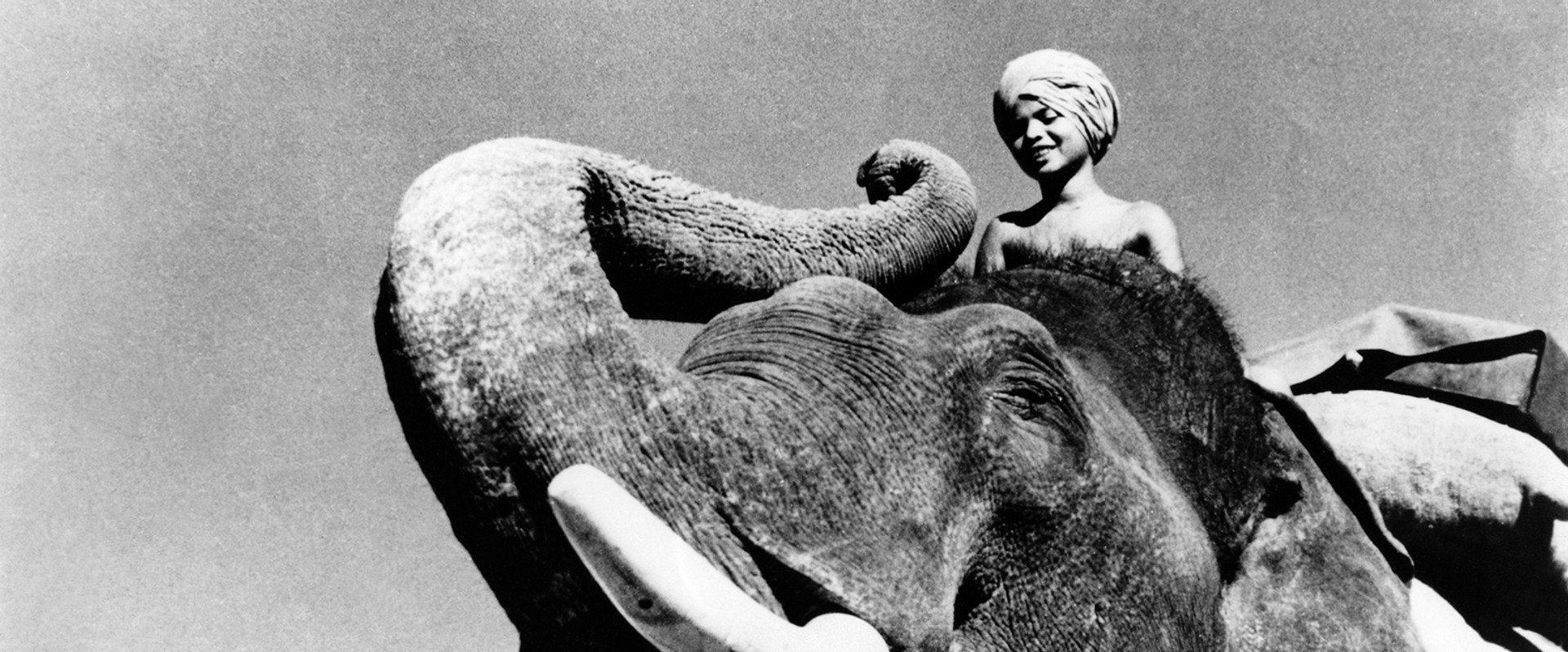 Elephant Boy backdrop