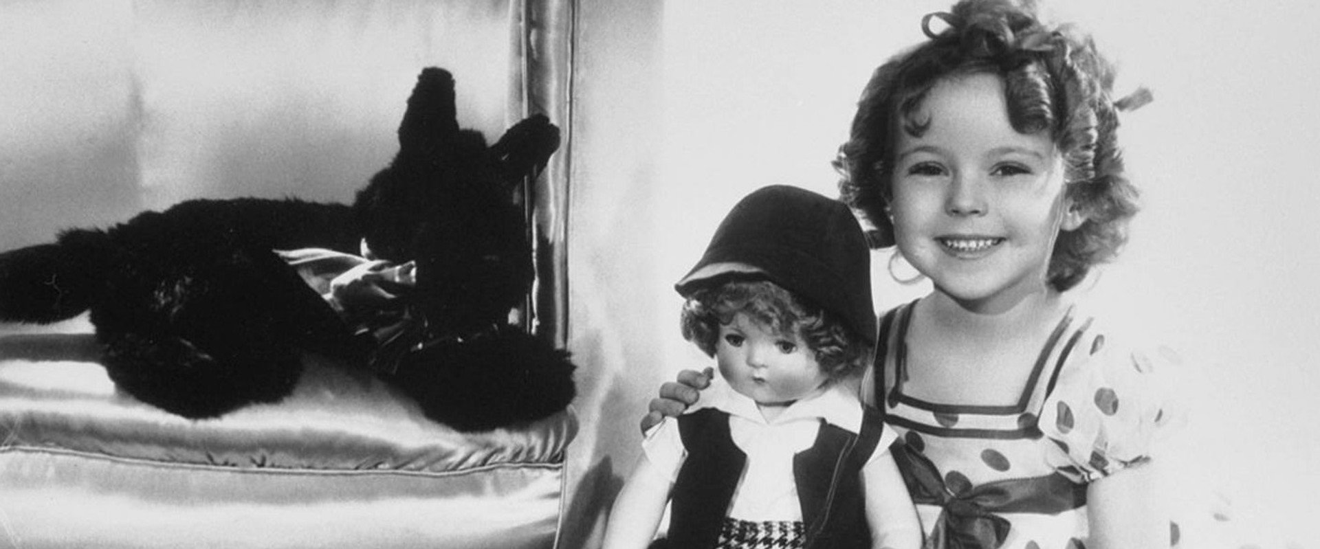 Stand Up and Cheer! backdrop