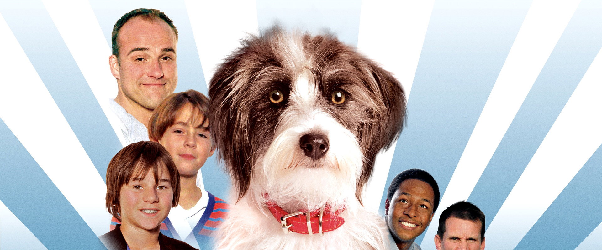 Sox: A Family's Best Friend backdrop