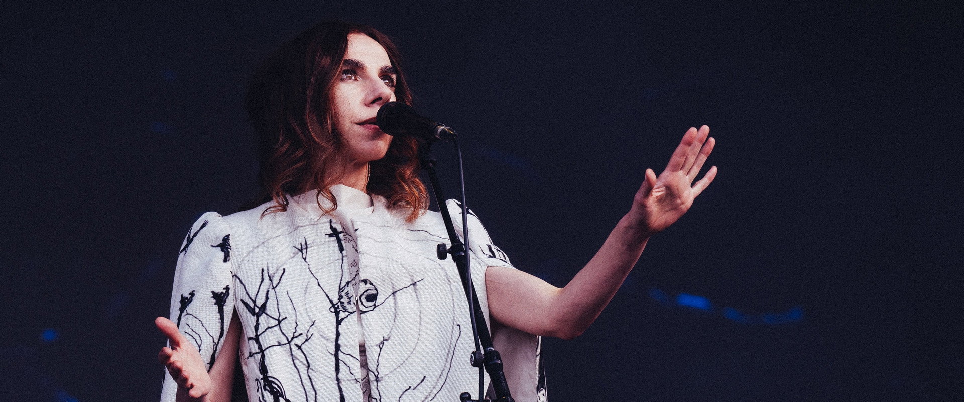 PJ Harvey - Rock en Seine 2024 backdrop