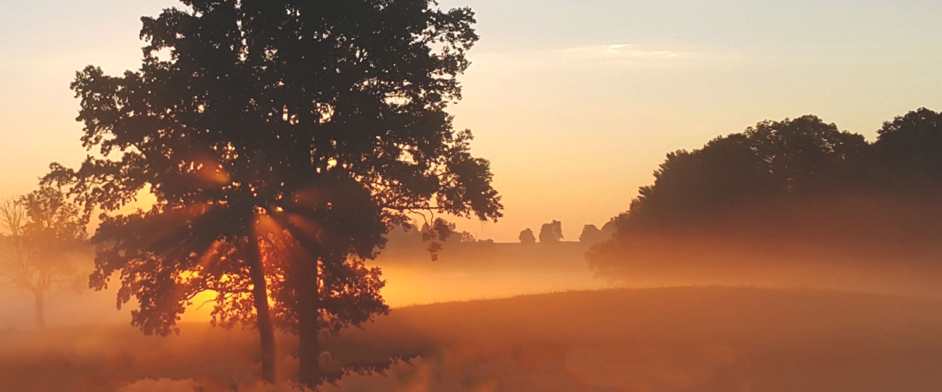 Shadowlands backdrop