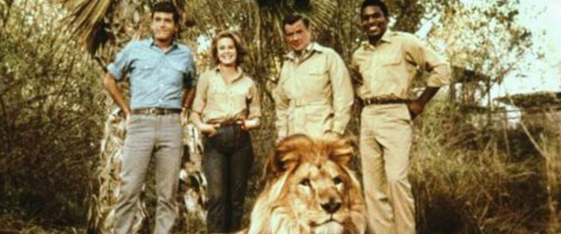 Clarence, the Cross-Eyed Lion backdrop