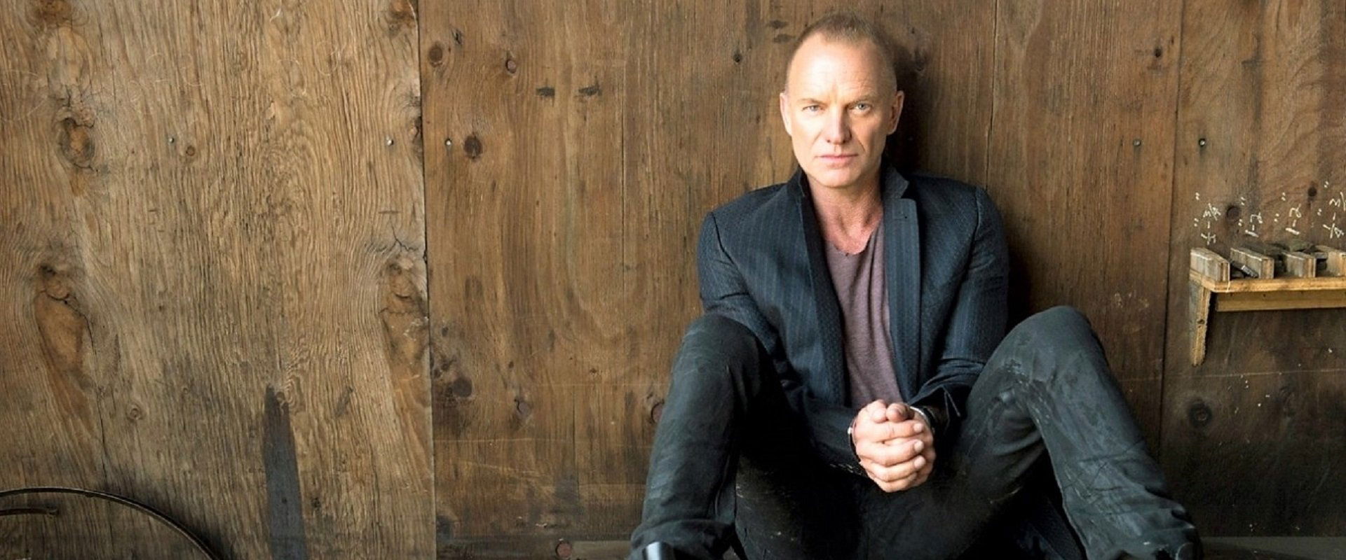 Sting: Beyond The Police backdrop