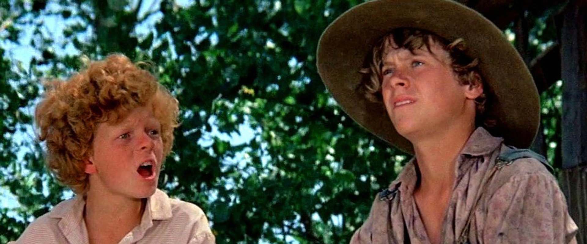 Tom Sawyer backdrop