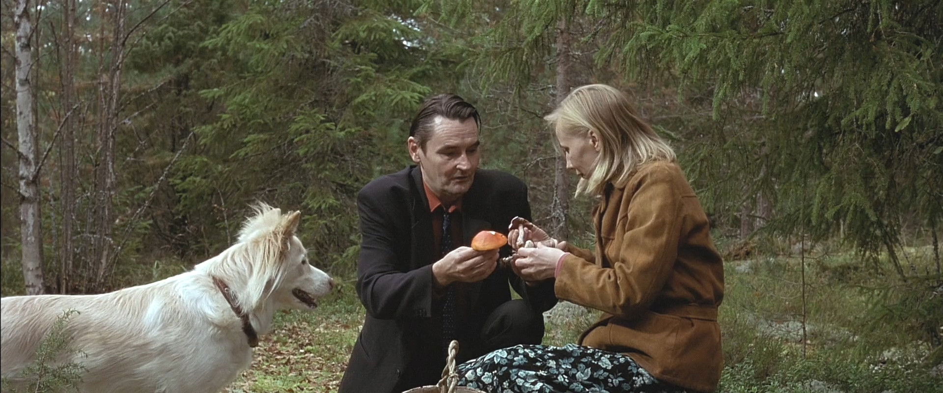 The Man Without a Past backdrop