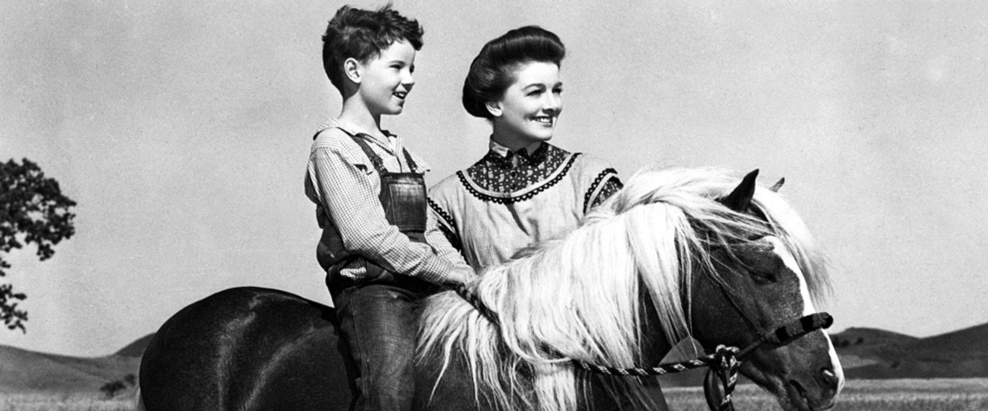 The Red Pony backdrop