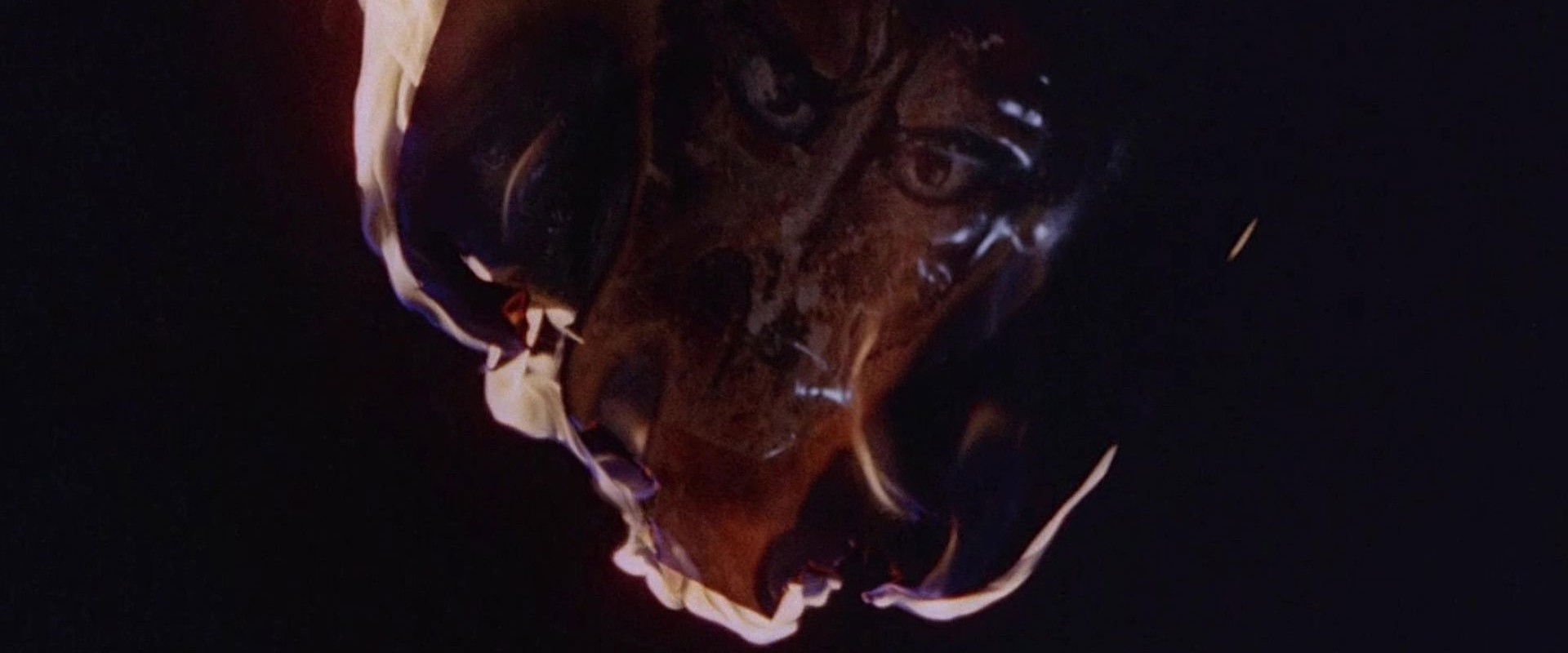 The Dead Are Alive backdrop