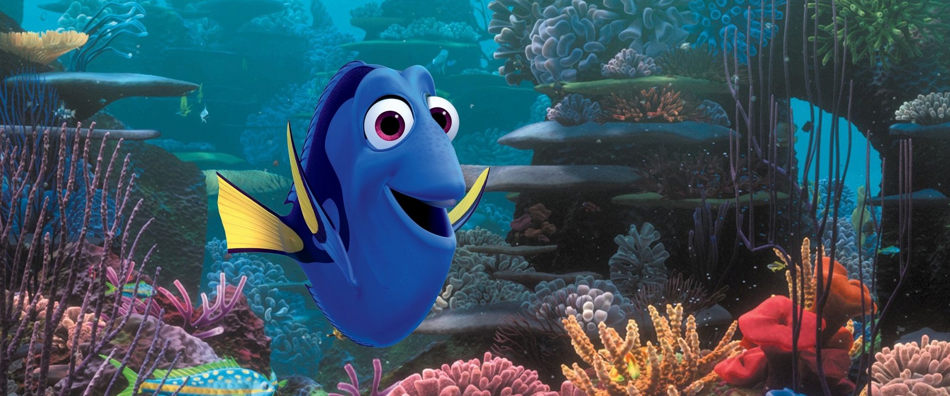 Finding Dory backdrop
