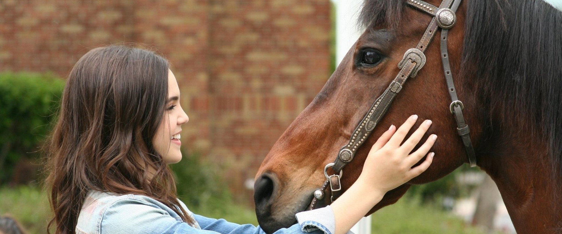 A Cowgirl's Story backdrop