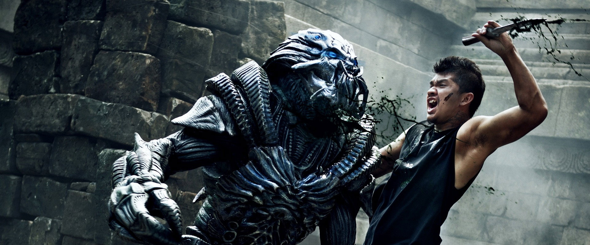 Beyond Skyline backdrop