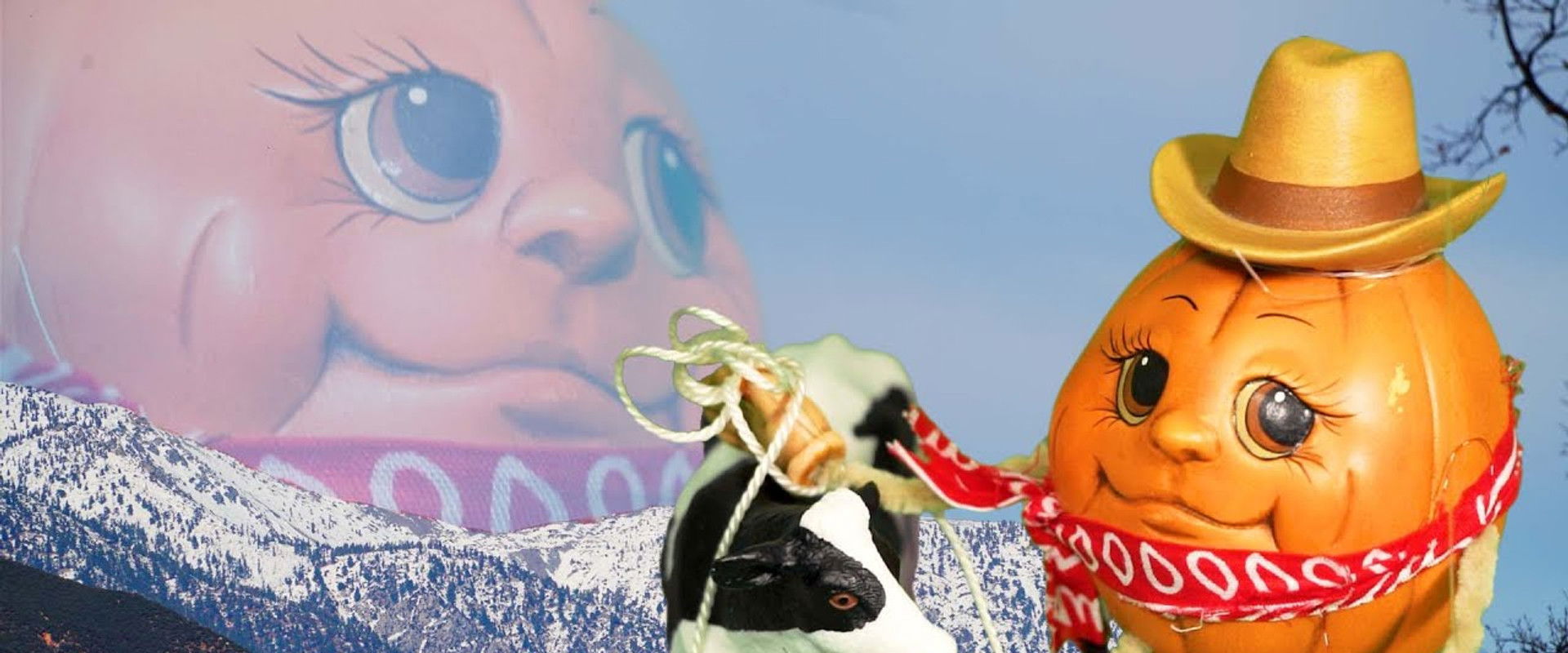 Pumpkin Cowboy backdrop