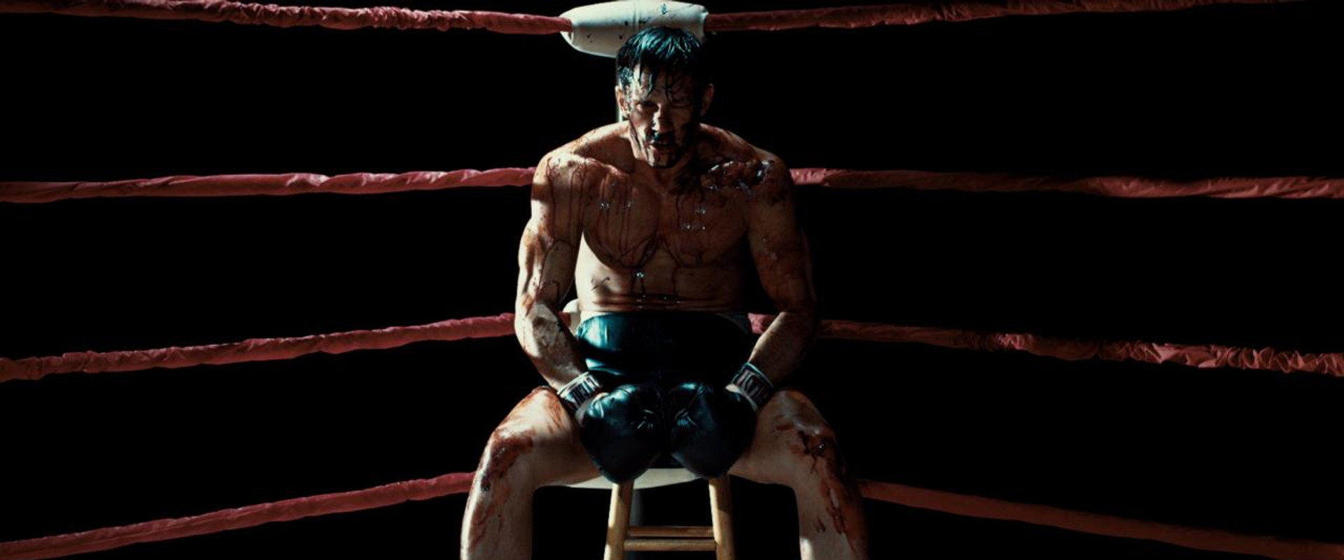 In Full Bloom backdrop