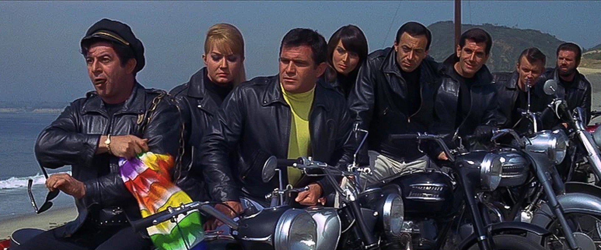 How to Stuff a Wild Bikini backdrop