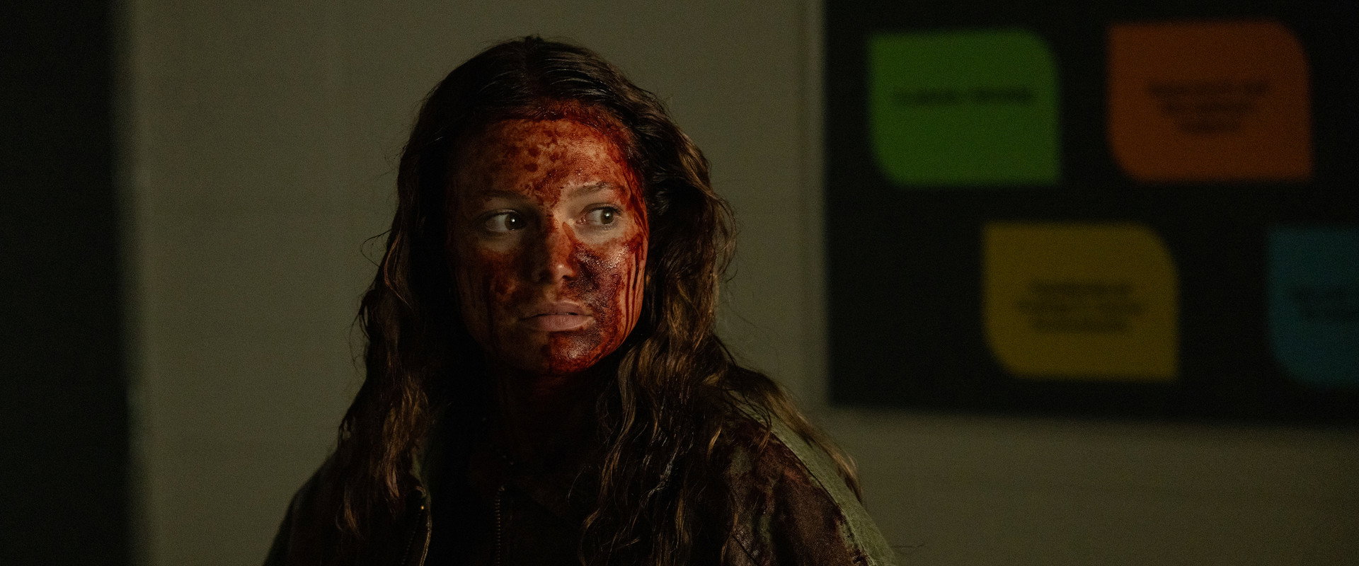 This Is Not a Test backdrop