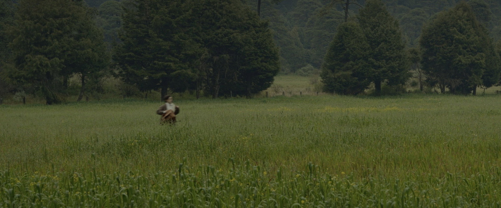 Para atrapar el viento backdrop
