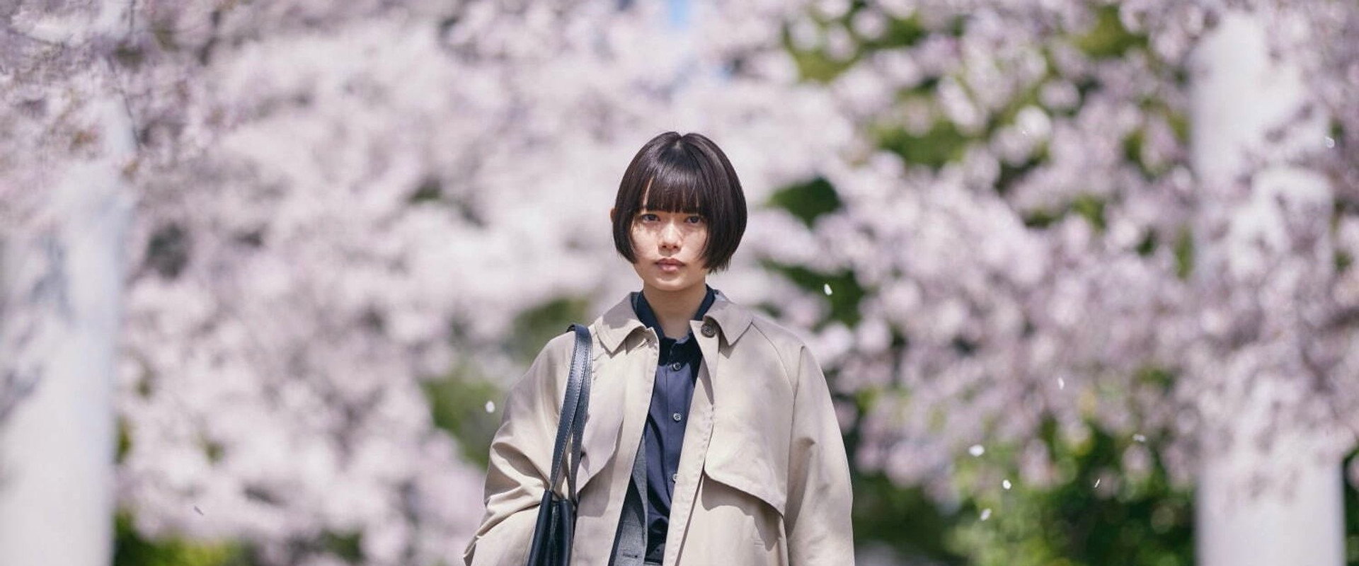 Sakura backdrop