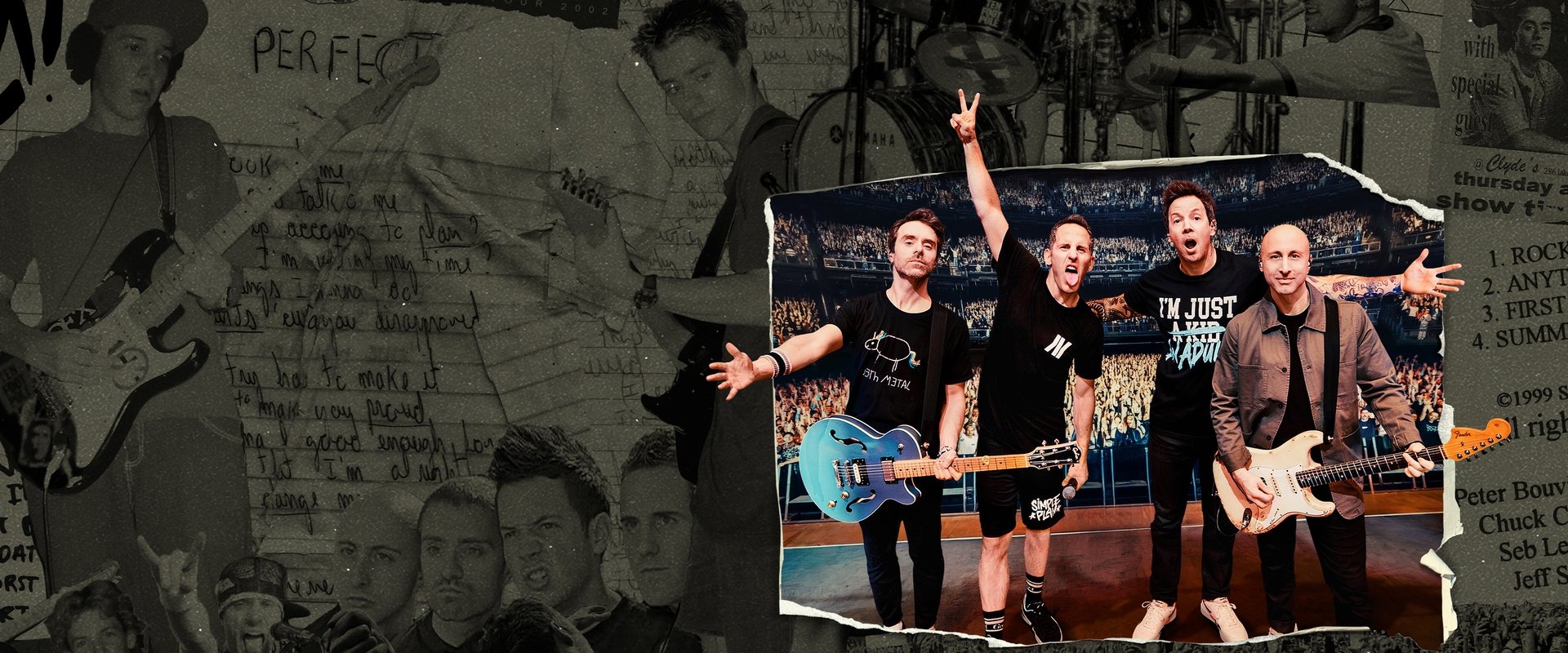 Simple Plan: The Kids in the Crowd