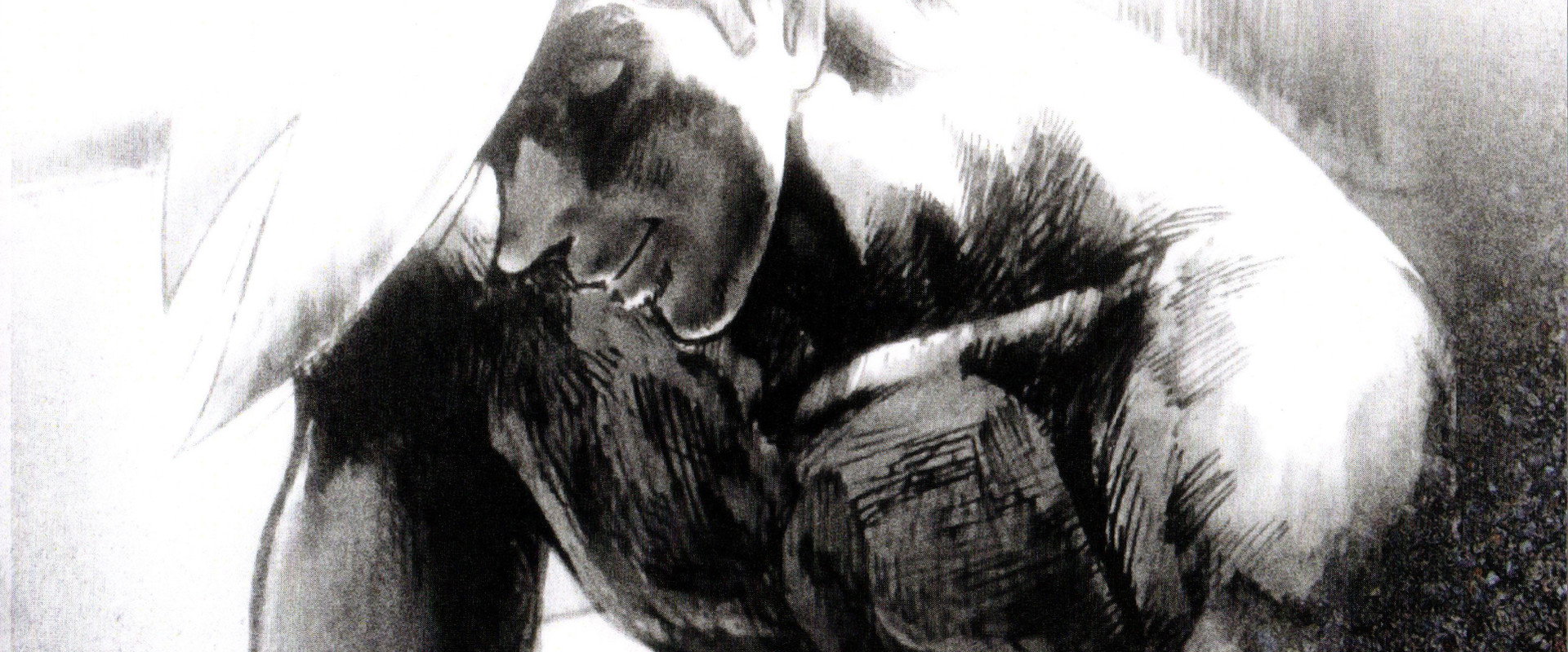 Tomorrow's Joe 2: The Movie backdrop