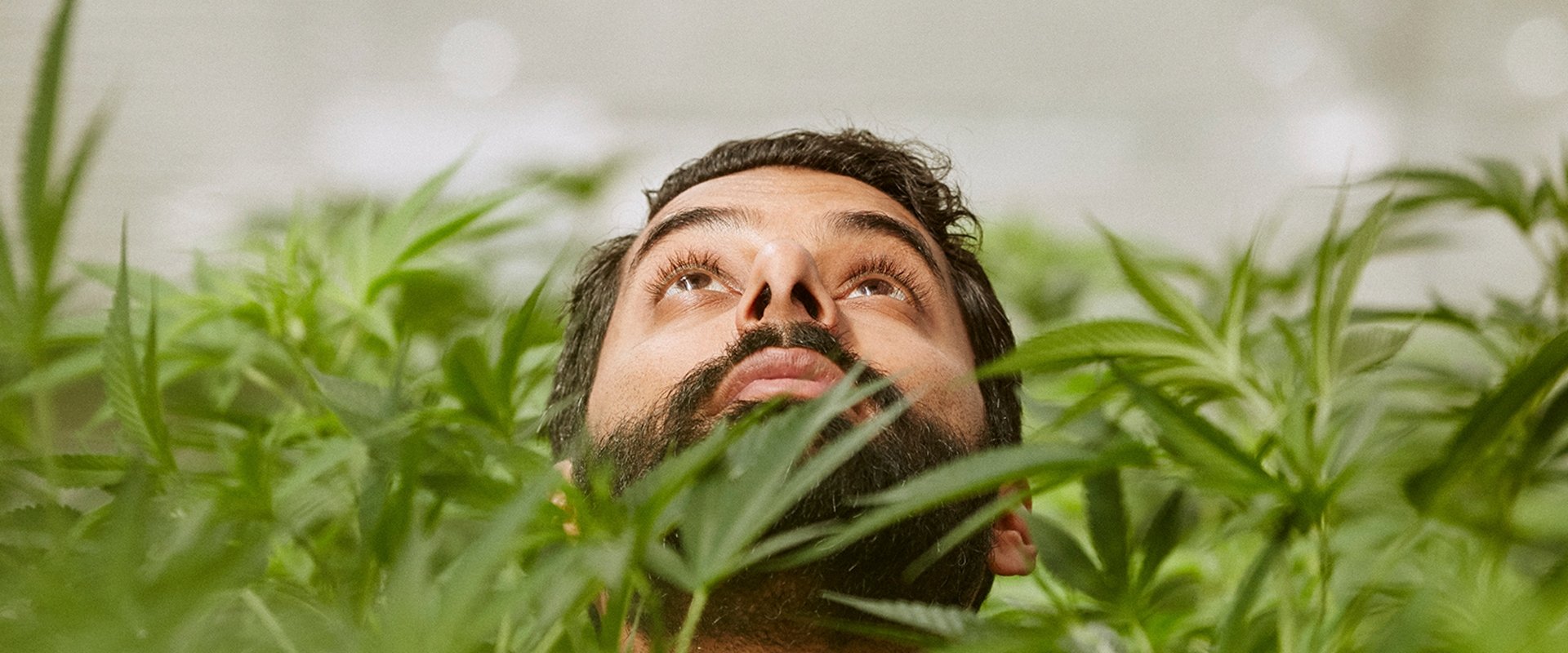 Weediquette