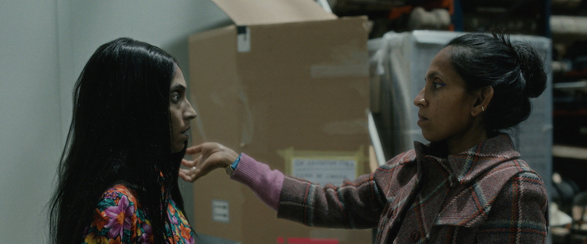 Elephants & Squirrels backdrop