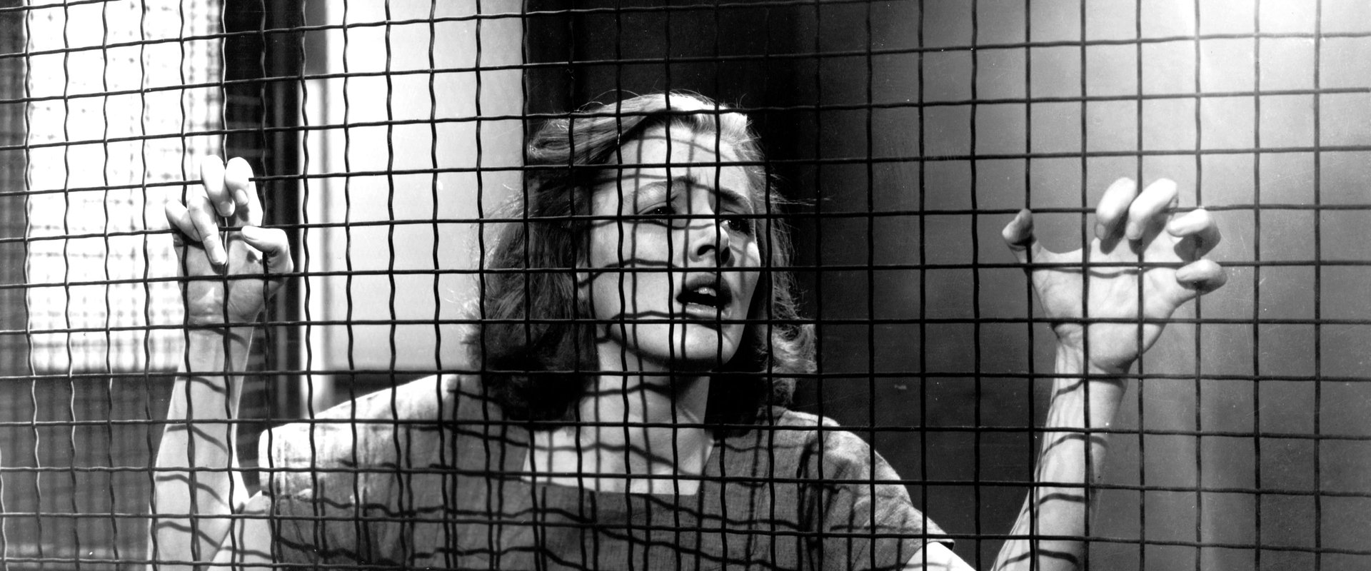 Caged backdrop