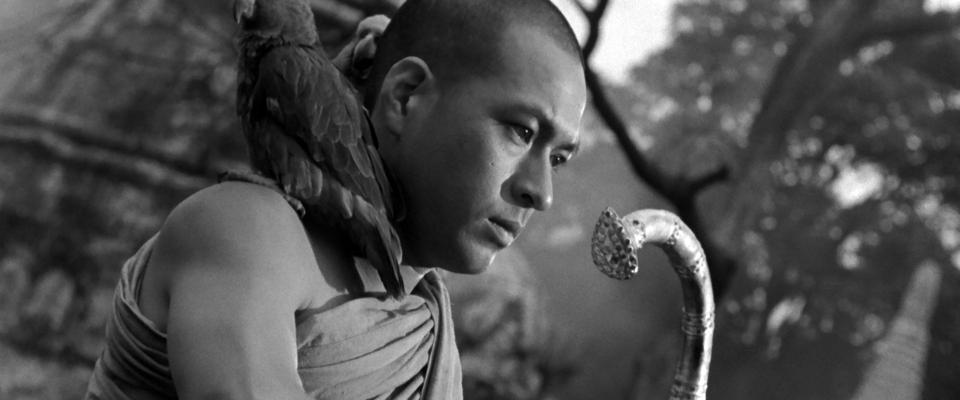 The Burmese Harp backdrop