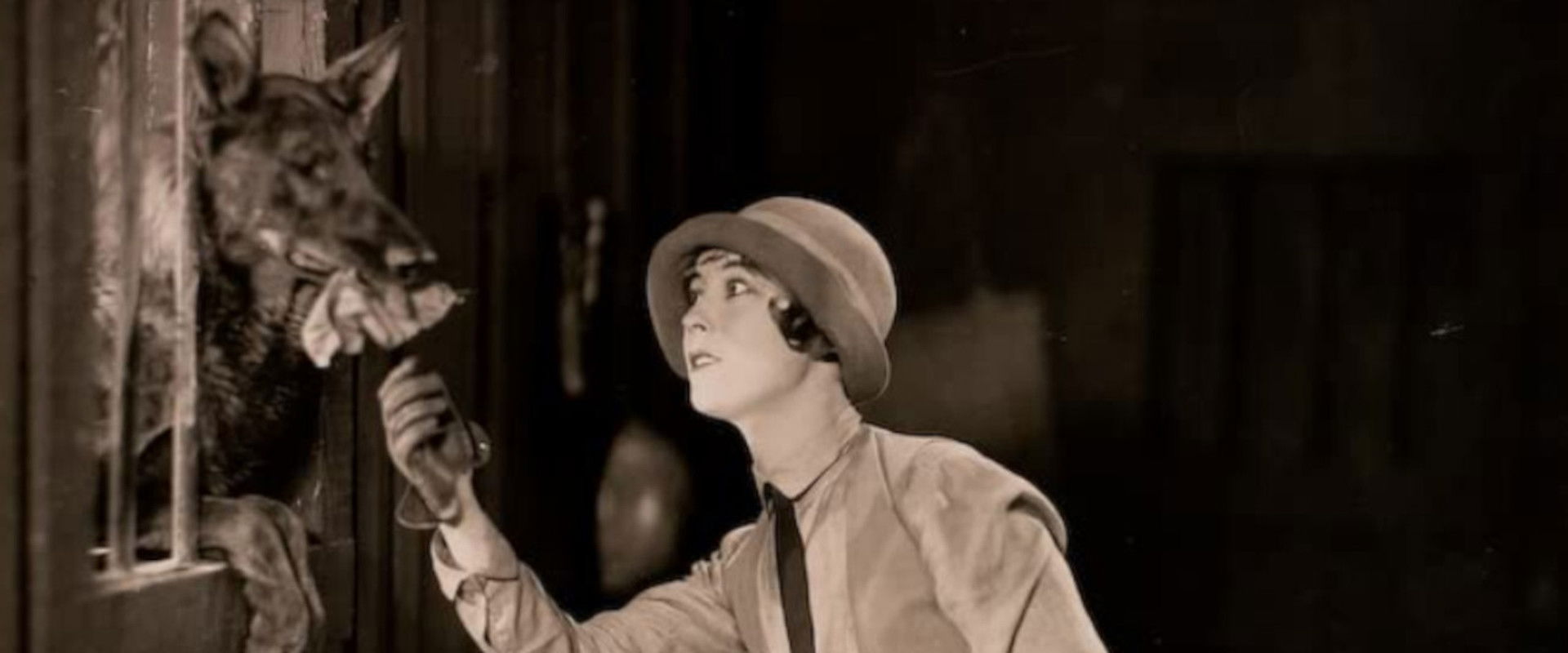 The Four-Footed Ranger backdrop