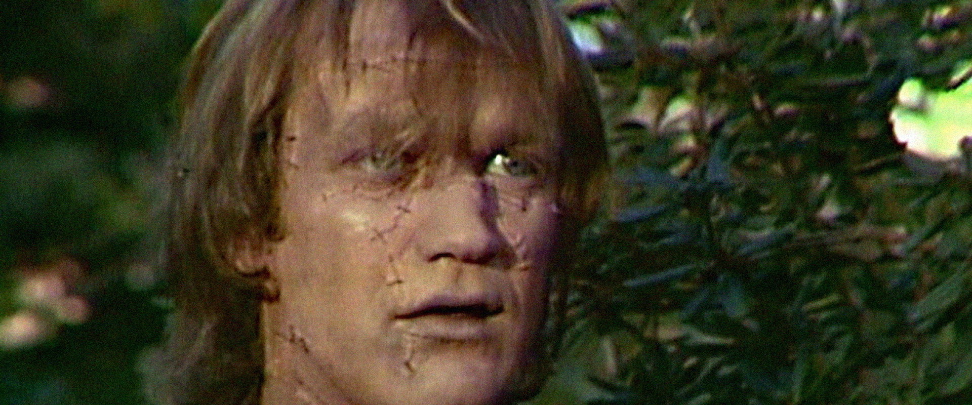 Frankenstein backdrop