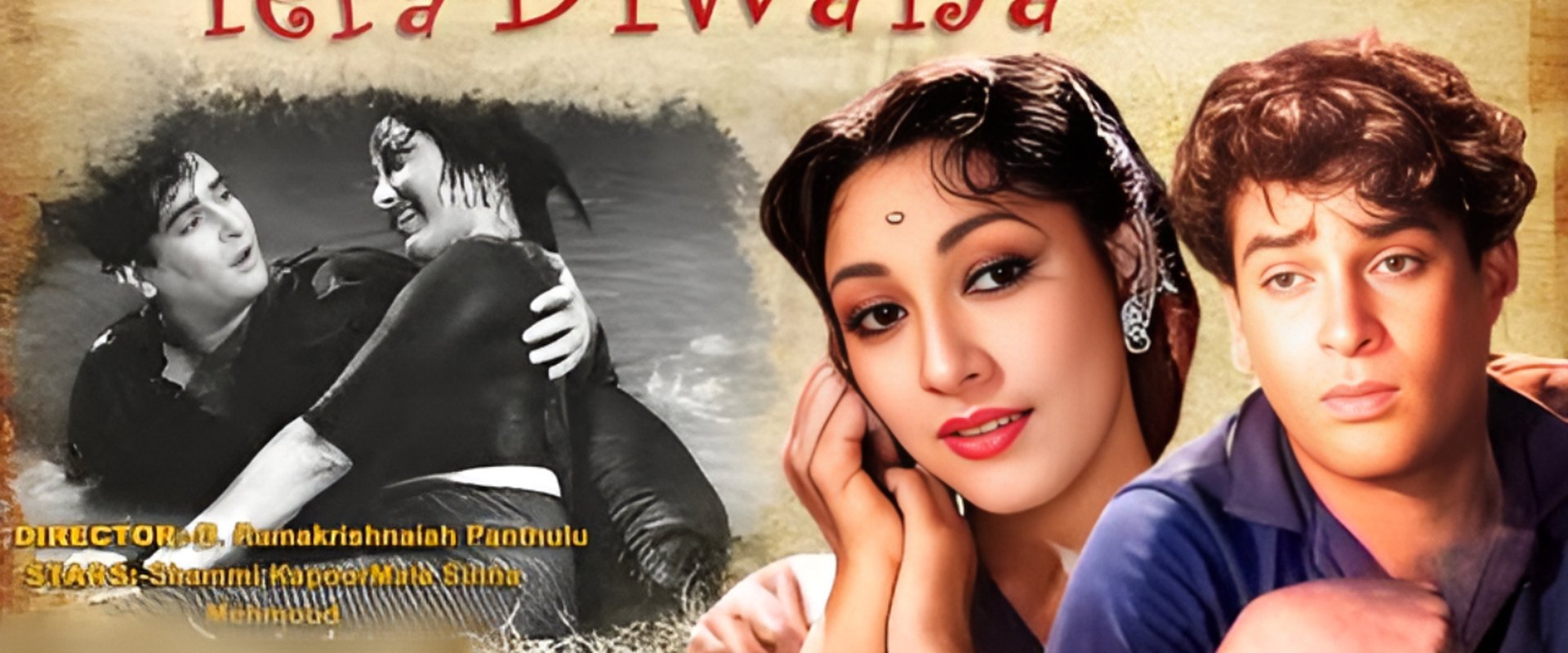 Dil Tera Diwana backdrop