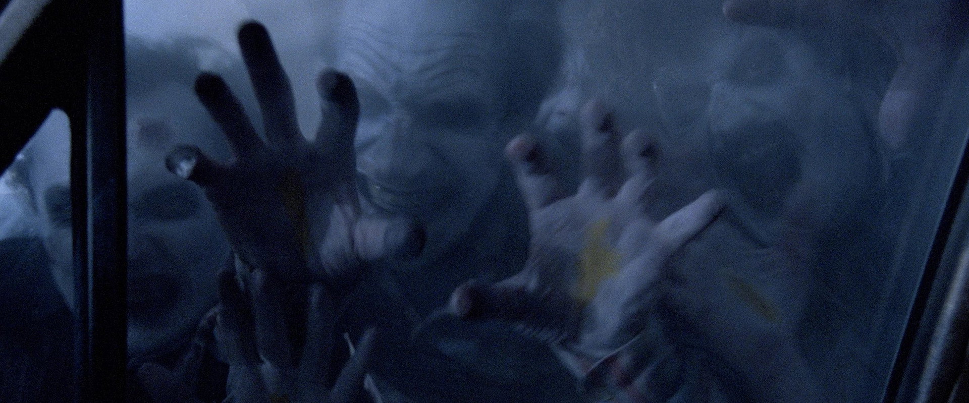 Night Shadows backdrop