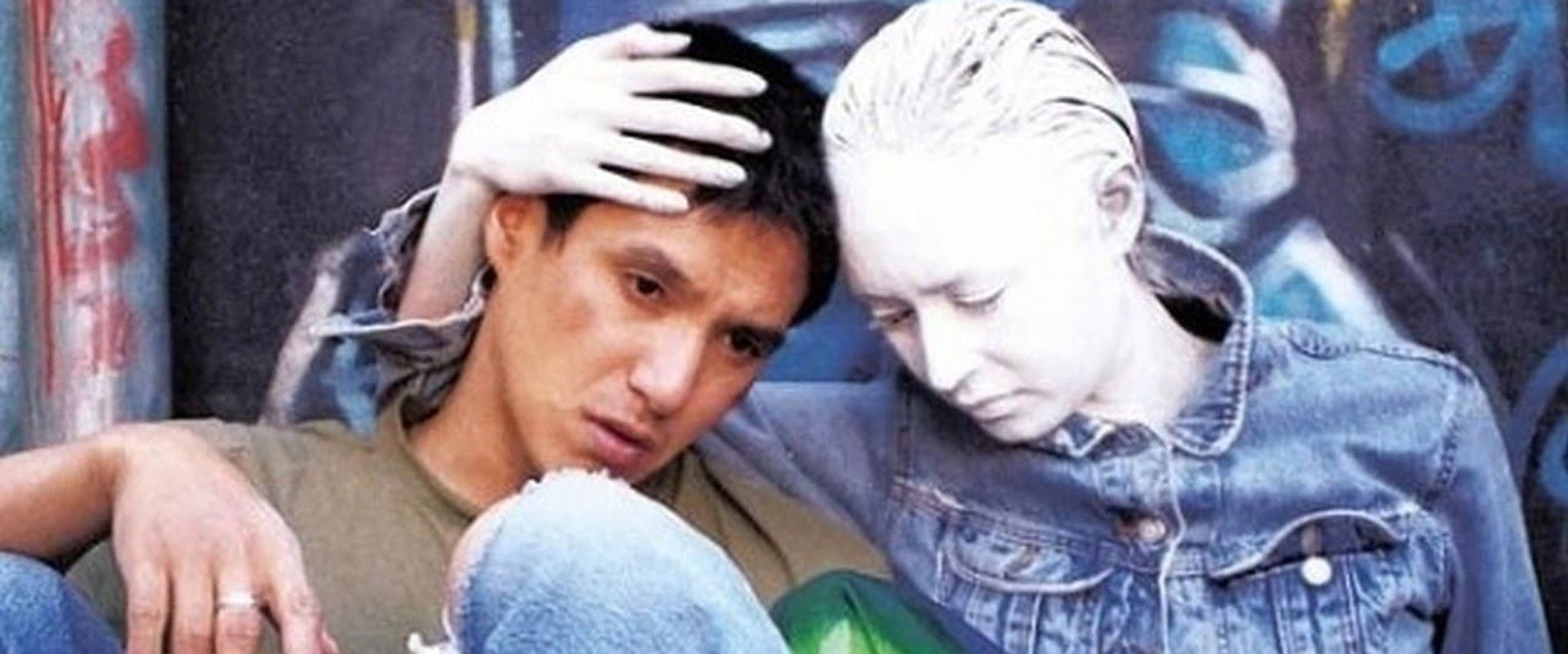 Wild Animals backdrop