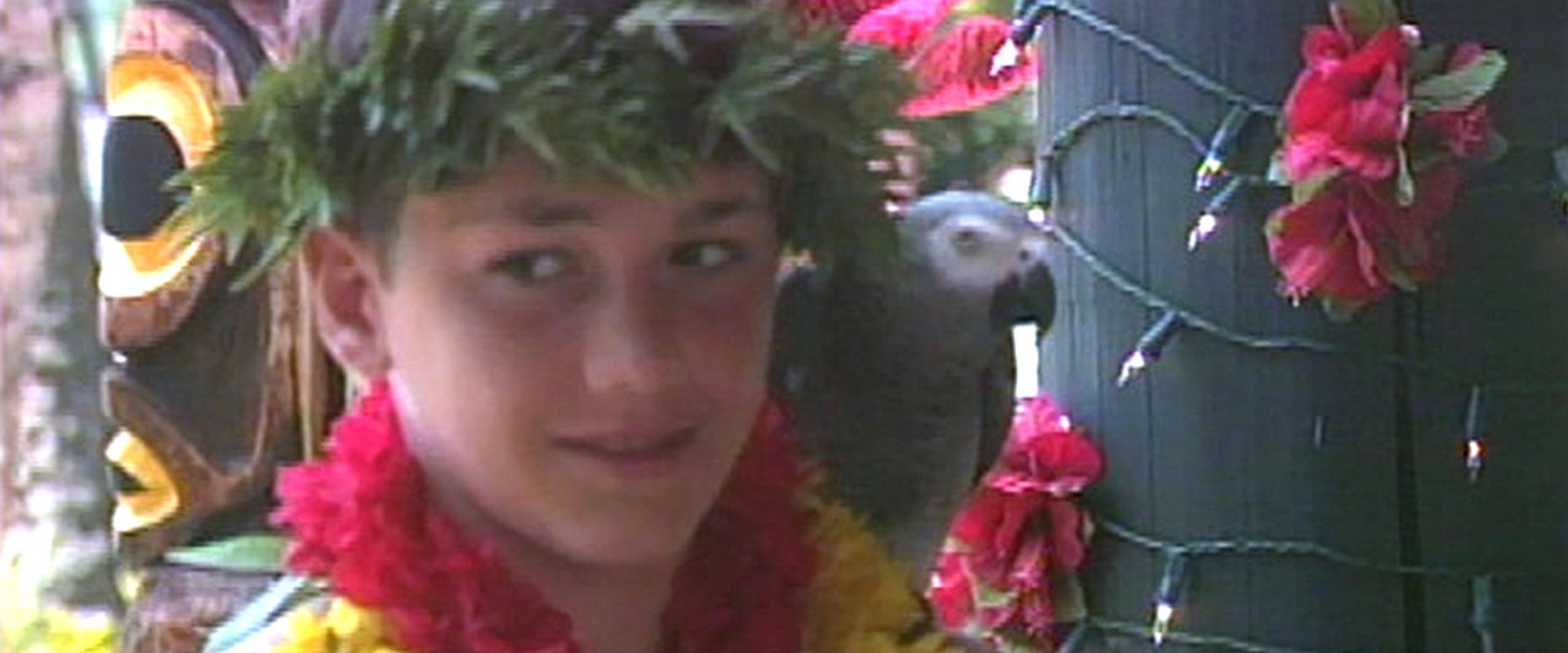 Iki Haole: Nico's Hawaiian Adventure backdrop