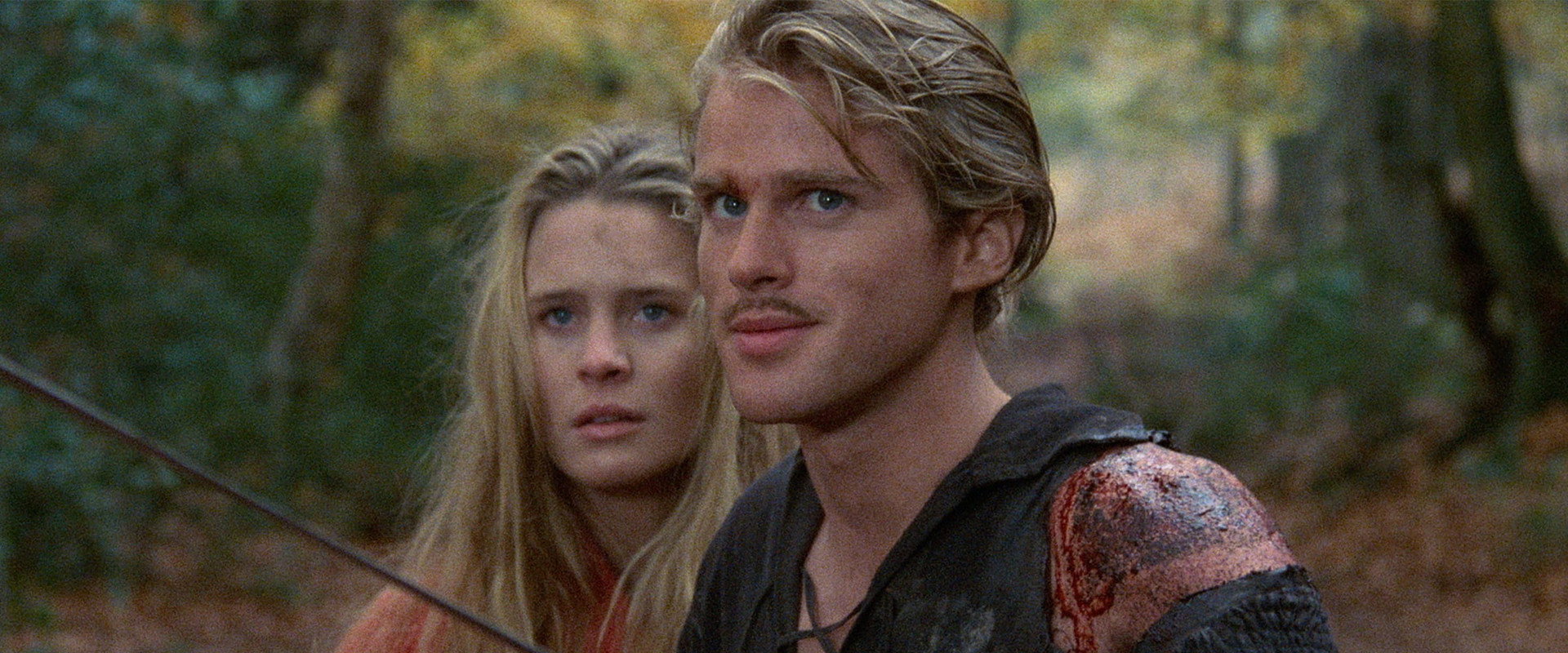 The Princess Bride backdrop