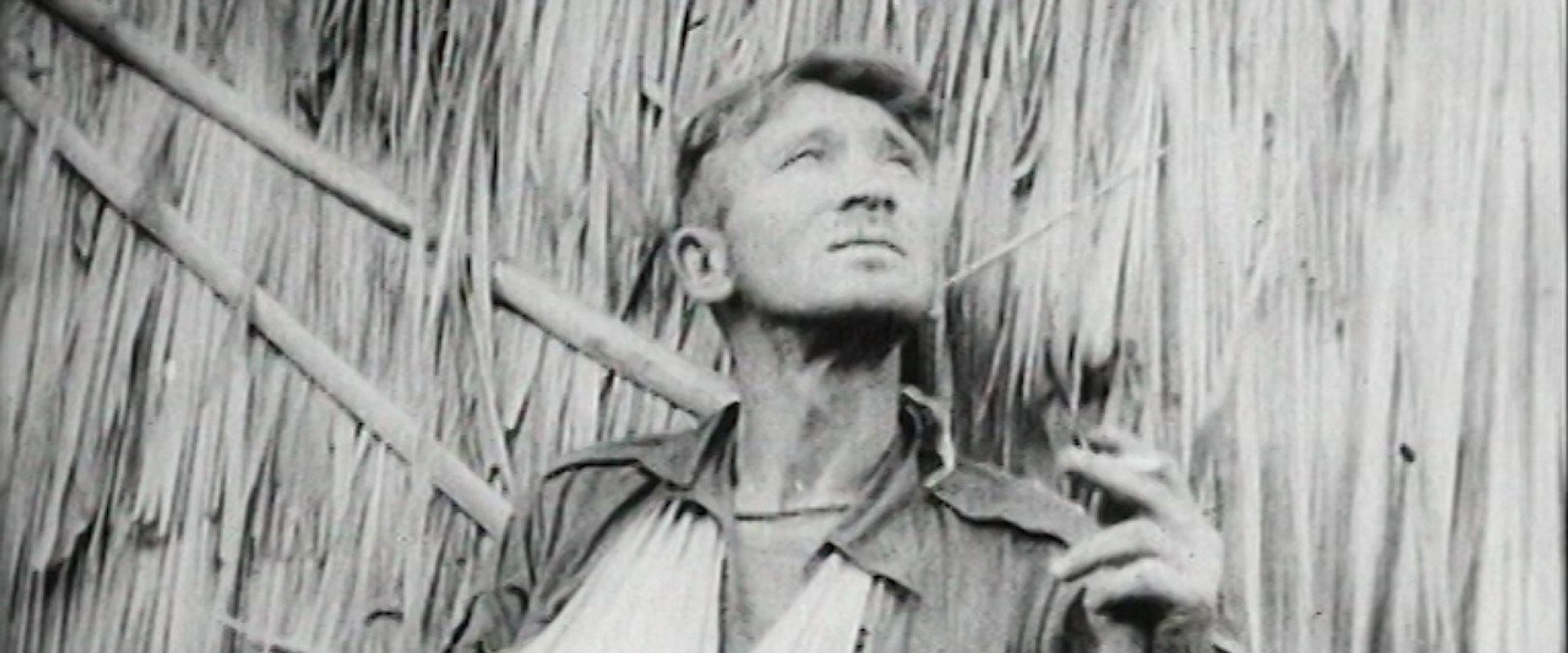 Kokoda Front Line! backdrop