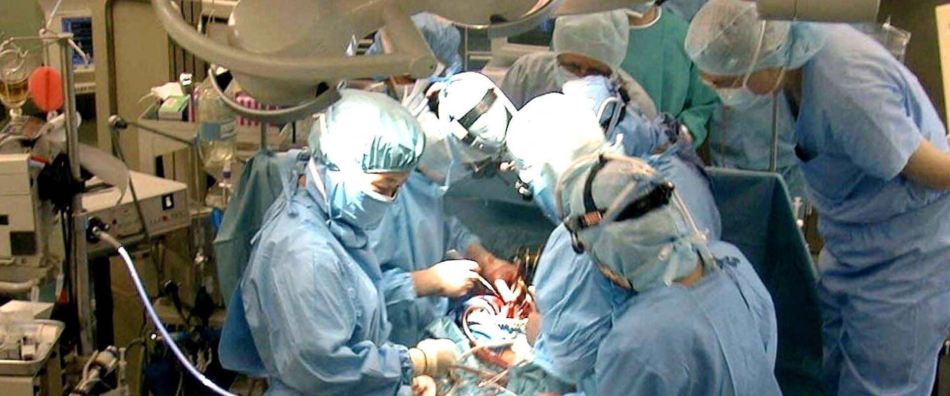 Der Streit um den Hirntod – Organspende auf dem Prüfstand backdrop